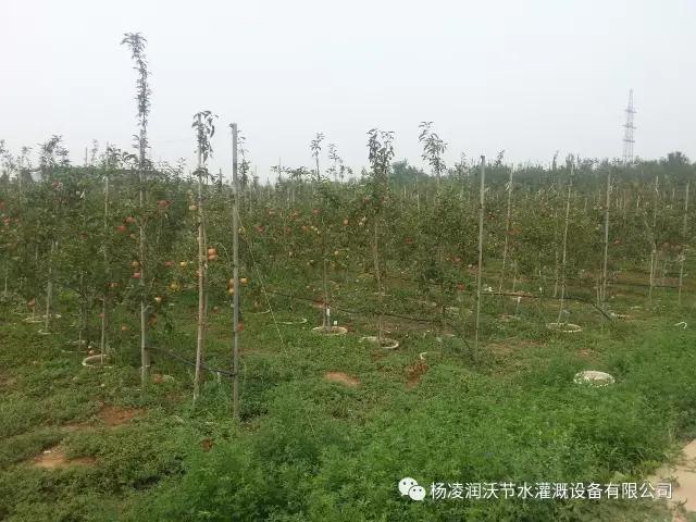 陜西滴灌管價格